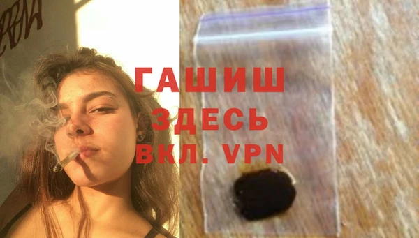прущие грибы Грязовец