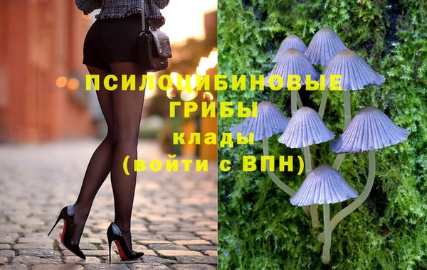 PSILOCYBIN Саяногорск