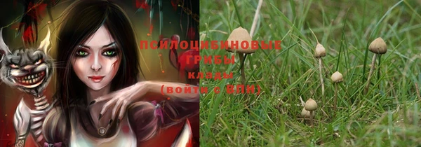 PSILOCYBIN Саяногорск